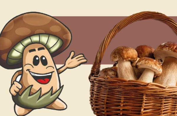 BELLEGRA: sedicesima edizione della Sagra delle Tacchie ai funghi porcini