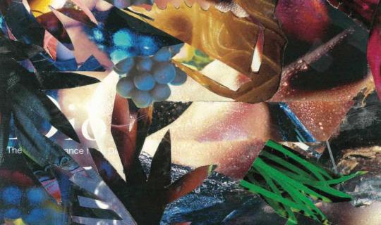 100^ Sagra dell'Uva a MARINO | 27 settembre - 7 ottobre