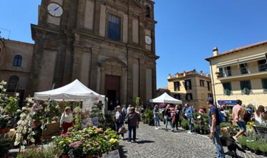 Orchidee dal mondo a Monte Porzio: quando l'arte del Vino si unisce all'arte orafa